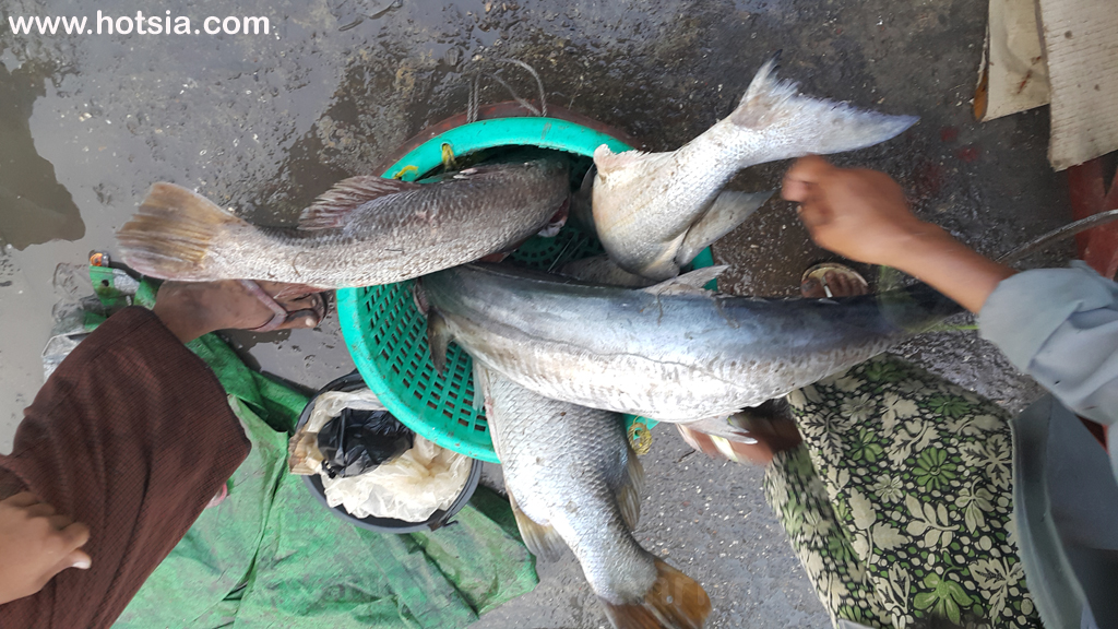 รัฐยะไข่ ตลาดเช้าซิตตเว พม่า