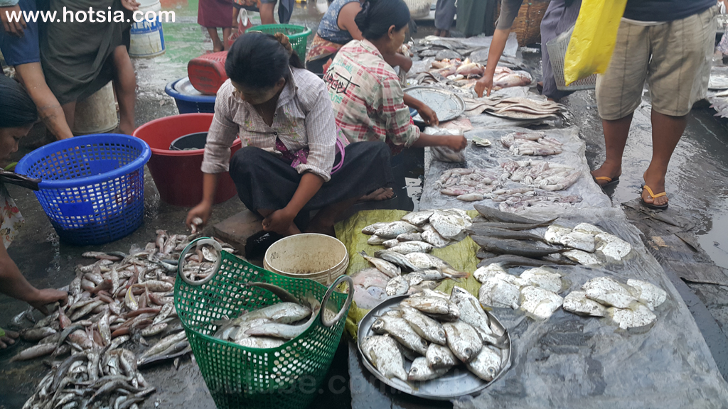 รัฐยะไข่ ตลาดเช้าซิตตเว พม่า
