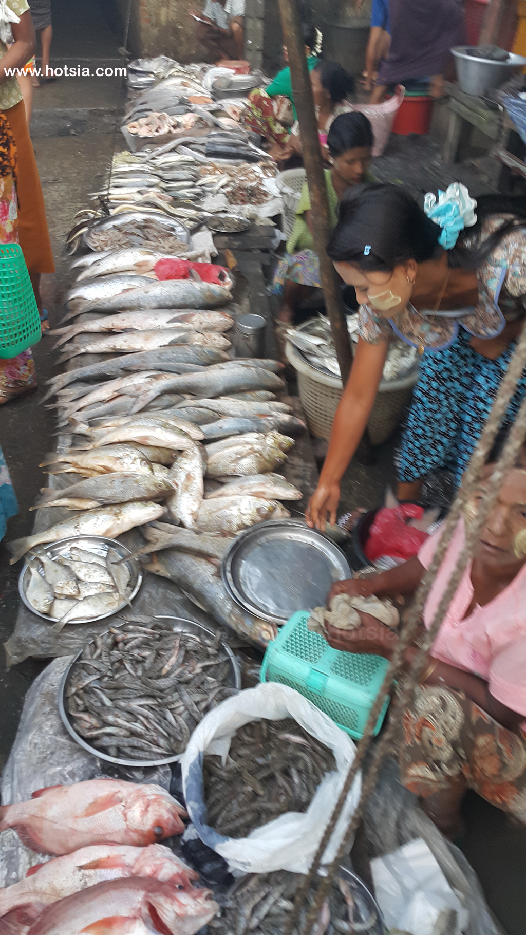 รัฐยะไข่ ตลาดเช้าซิตตเว พม่า