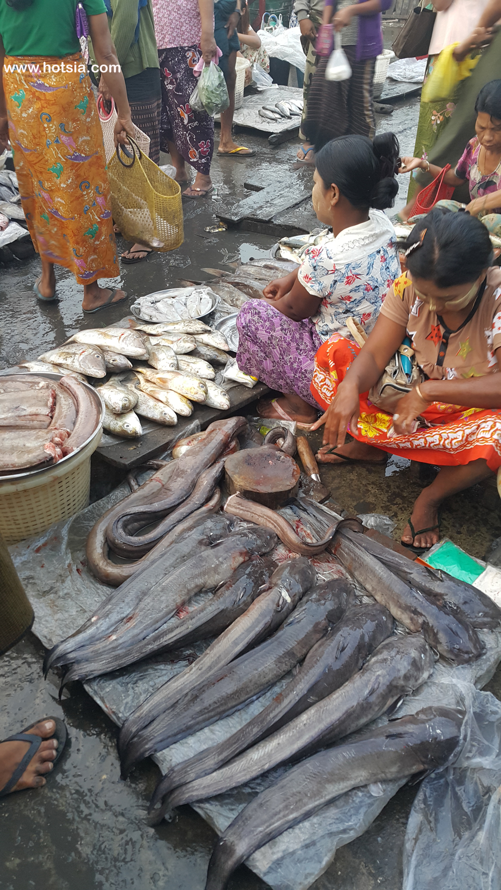 รัฐยะไข่ ตลาดเช้าซิตตเว พม่า