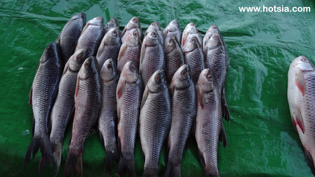 เที่ยวพม่า เมืองตองยี รัฐฉาน พม่า ตลาดเช้าในเมืองตองยี รัฐฉาน พม่า
