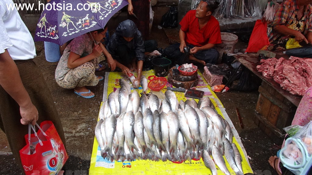 เที่ยวย่างกุ้งพม่าด้วยตัวเอง ตลาดรถผ่านได้ ย่างกุ้ง