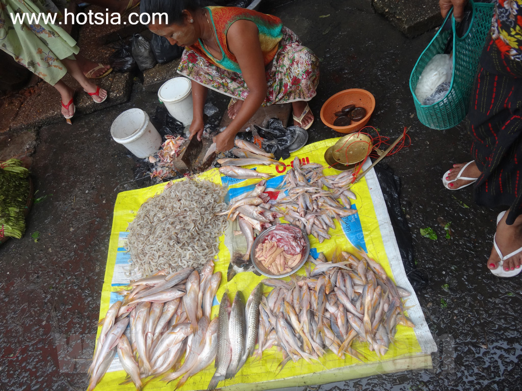 เที่ยวย่างกุ้งพม่าด้วยตัวเอง ตลาดเช้าย่างกุ้ง