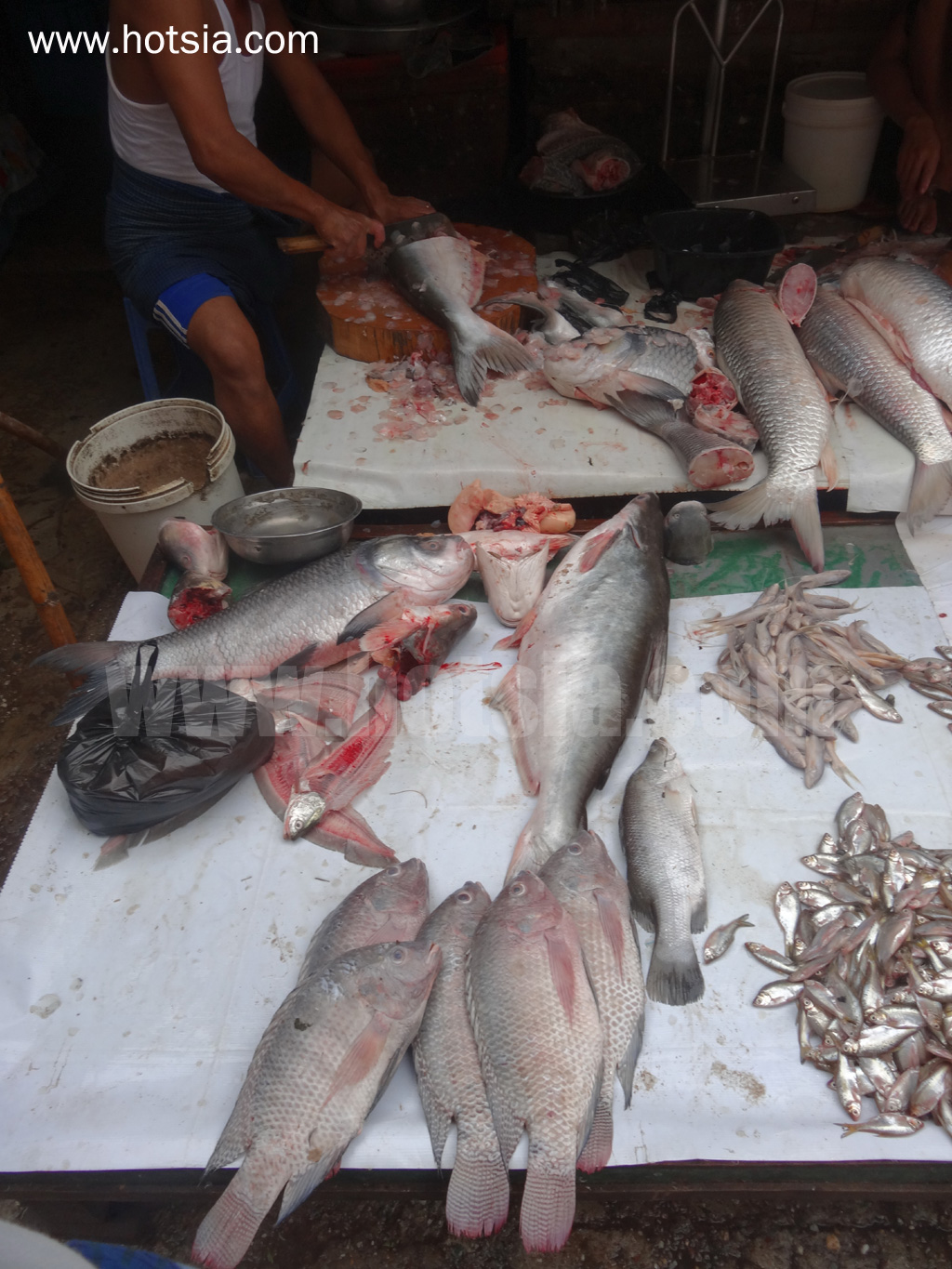เที่ยวย่างกุ้งพม่าด้วยตัวเอง ตลาดเช้าย่างกุ้ง