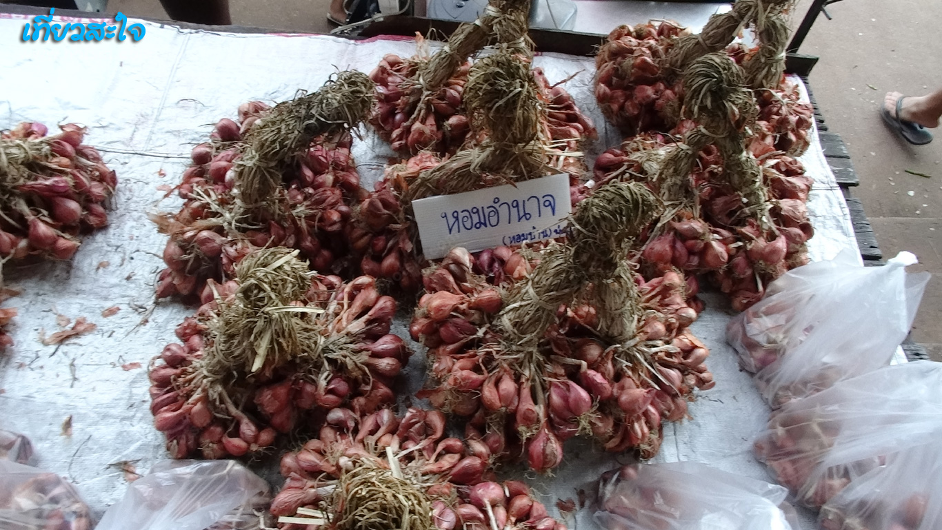 อำนาจเจริญ ตลาดเช้าอำนาจเจริญ