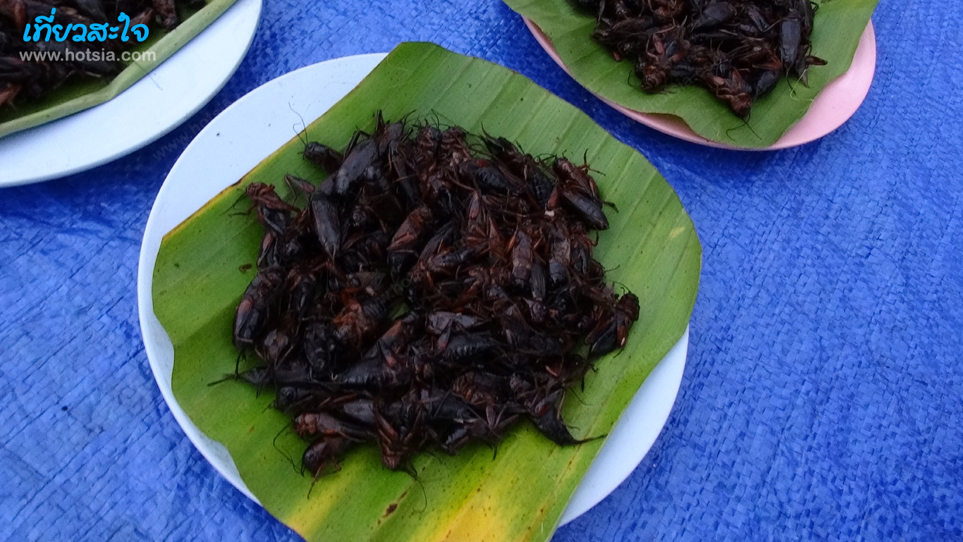 อำนาจเจริญ ตลาดเย็นอำนาจเจริญ