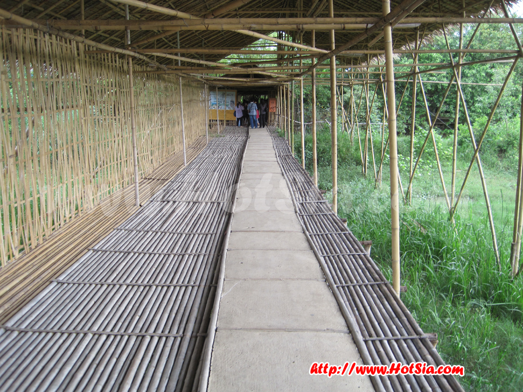 อยุธยา ตลาดน้ำคลองสระบัว