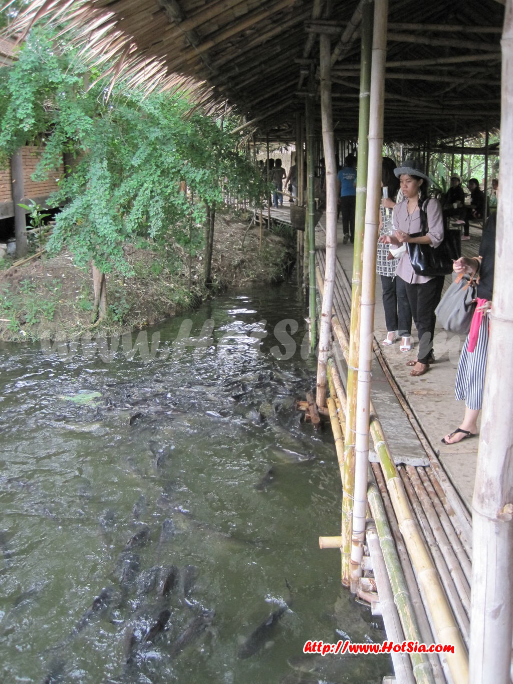 อยุธยา ตลาดน้ำคลองสระบัว
