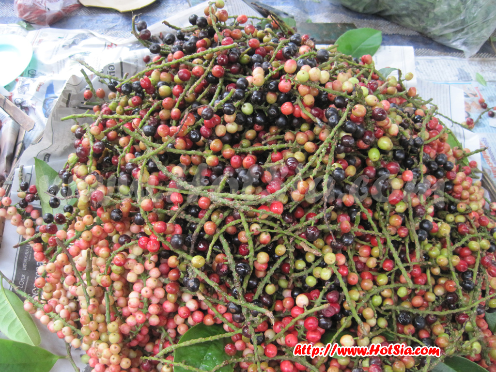จังหวัดบึงกาฬ ตลาดเช้าจังหวัดบึงกาฬ ตลาดนัดไทยลาวจังหวัดบึงกาฬ