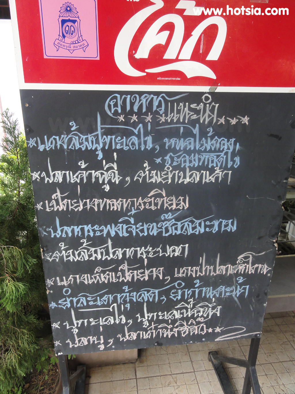เที่ยวแปดริ้ว มธุรสเรือนแพ ฉะเชิงเทรา