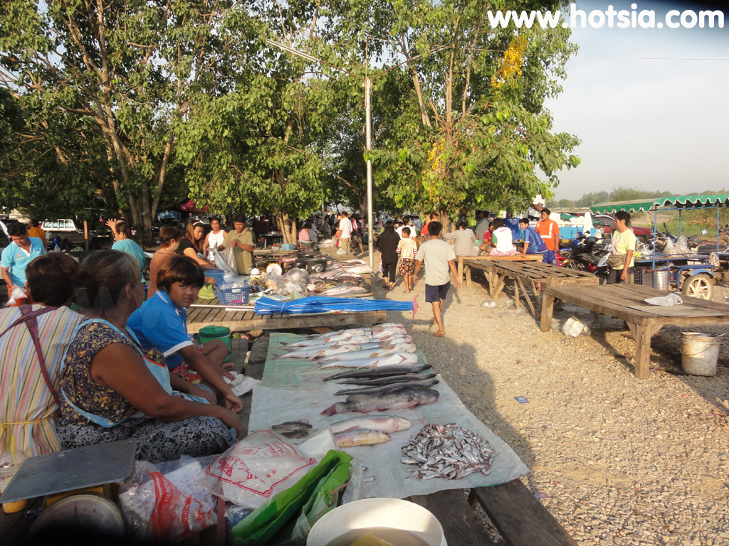 เที่ยวชัยนาท ตลาดปลาท้ายเขื่อนเจ้าพระยา ชัยนาท