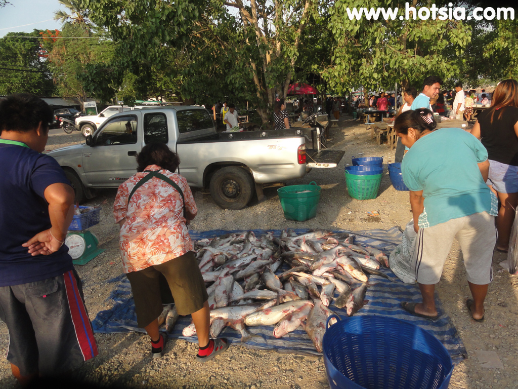 เที่ยวชัยนาท ตลาดปลาท้ายเขื่อนเจ้าพระยา ชัยนาท