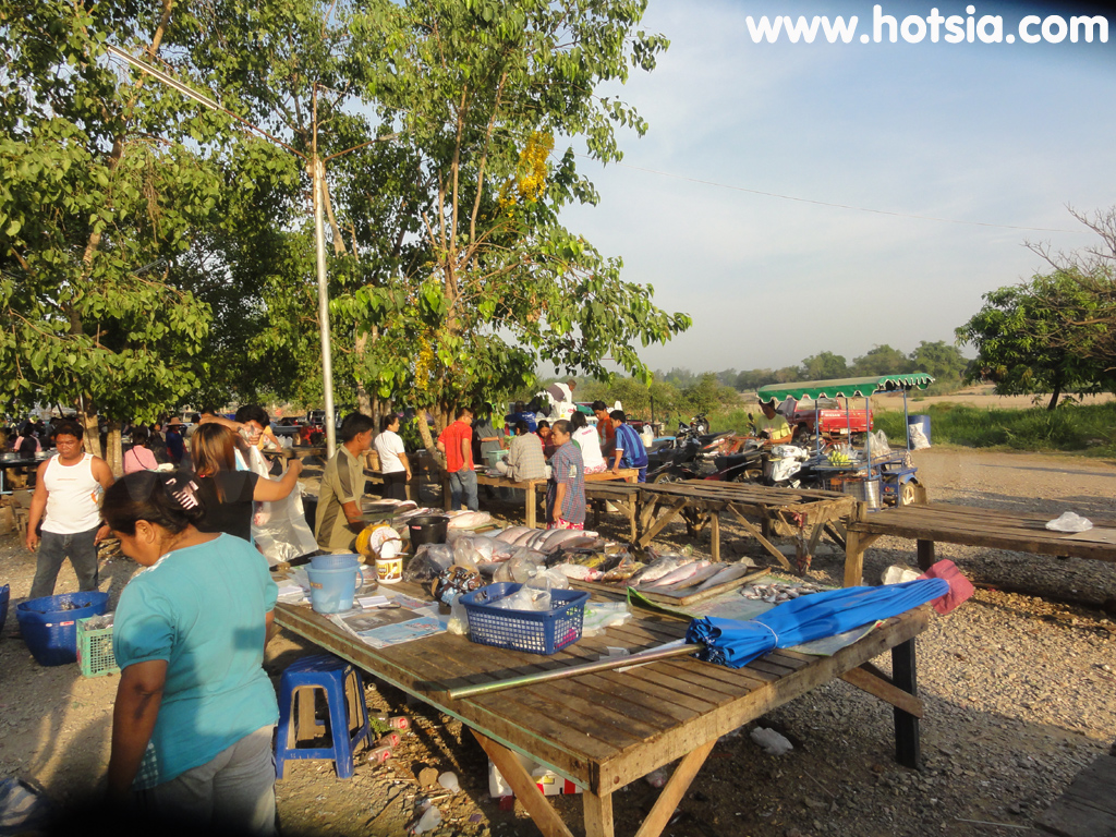 เที่ยวชัยนาท ตลาดปลาท้ายเขื่อนเจ้าพระยา ชัยนาท