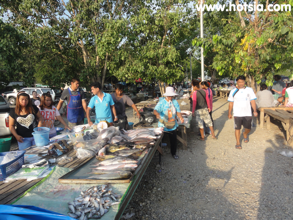 เที่ยวชัยนาท ตลาดปลาท้ายเขื่อนเจ้าพระยา ชัยนาท