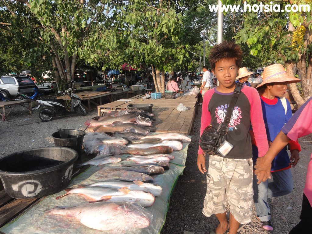 เที่ยวชัยนาท ตลาดปลาท้ายเขื่อนเจ้าพระยา ชัยนาท