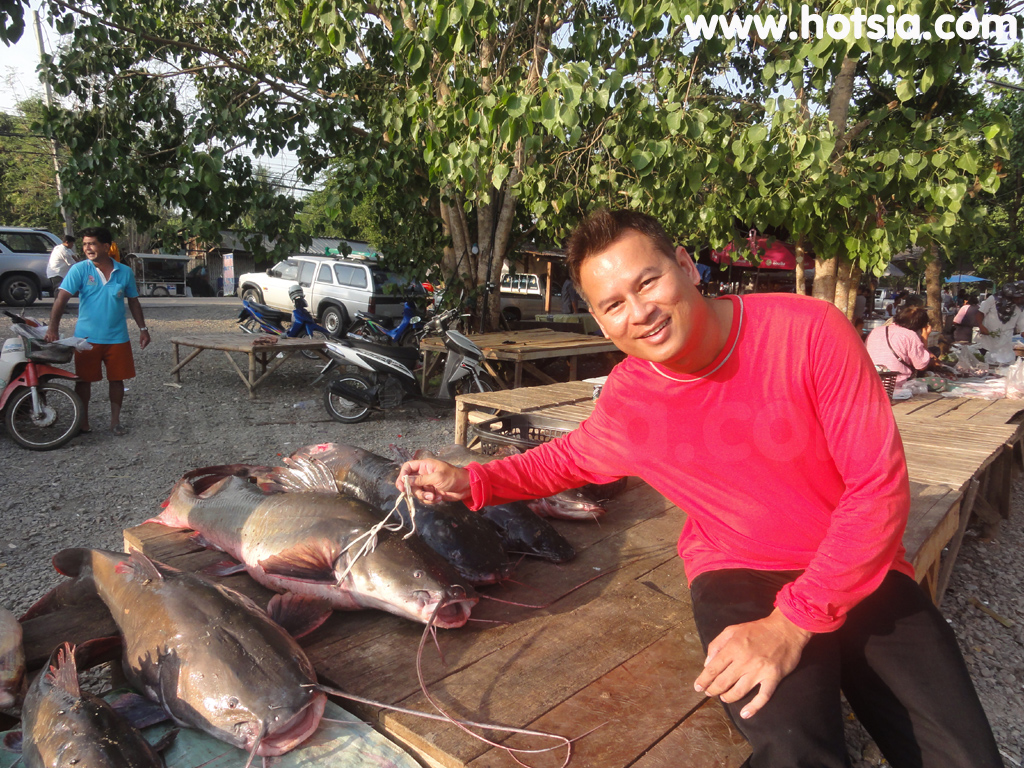 เที่ยวชัยนาท ตลาดปลาท้ายเขื่อนเจ้าพระยา ชัยนาท