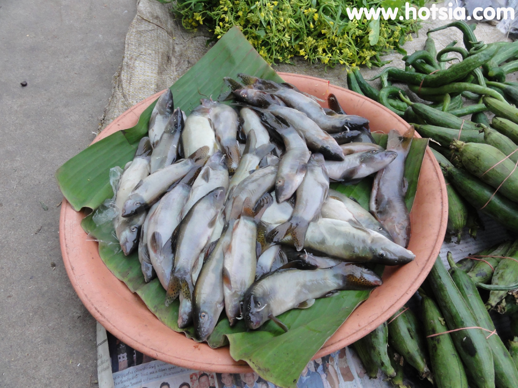เชียงคาน ปลาหมูตลาดสดเชียงคาน