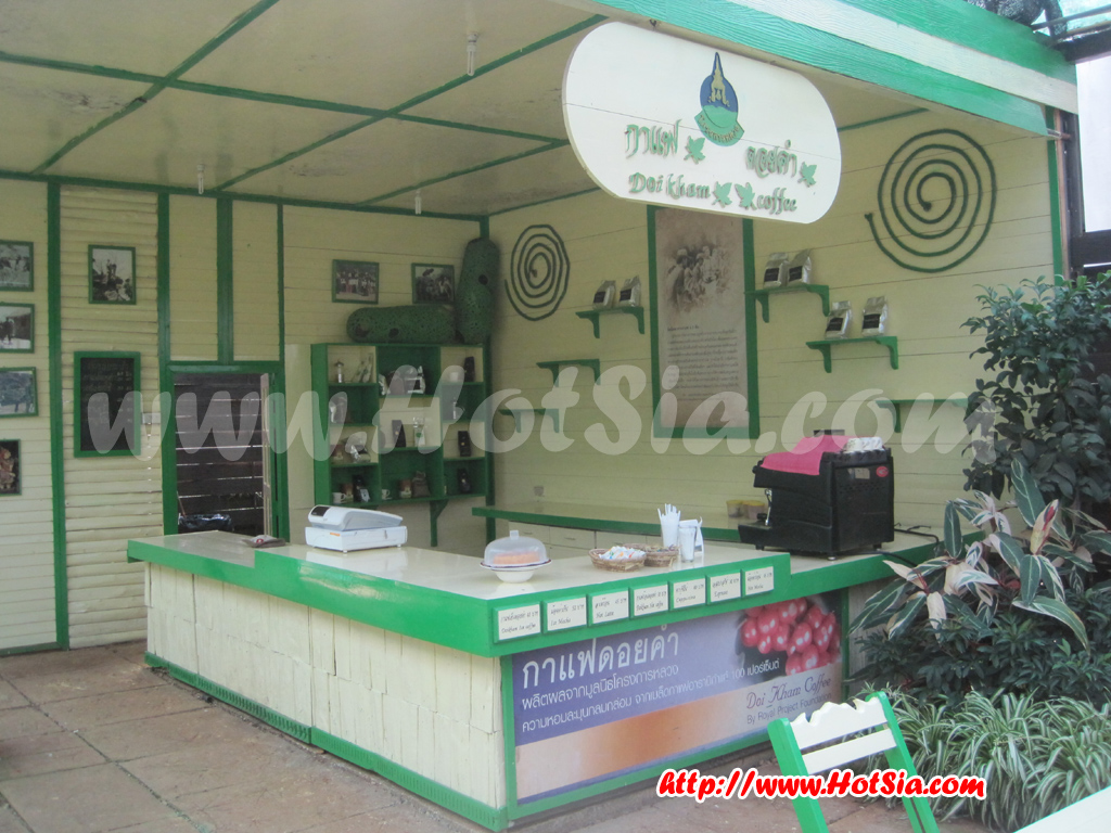 เชียงใหม่ ดอยอ่างขาง ร้านกาแฟดอยอ่างขาง
