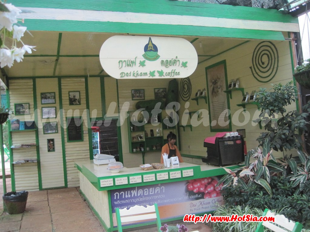 เชียงใหม่ ดอยอ่างขาง ร้านกาแฟดอยอ่างขาง