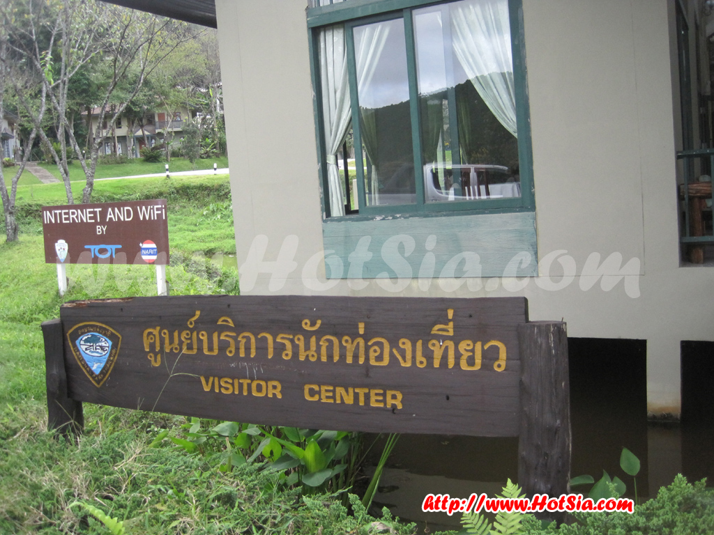 เชียงใหม่ แค้มป์ปิ้งกางเต็นท์นอนที่ดอยอินทนนท์