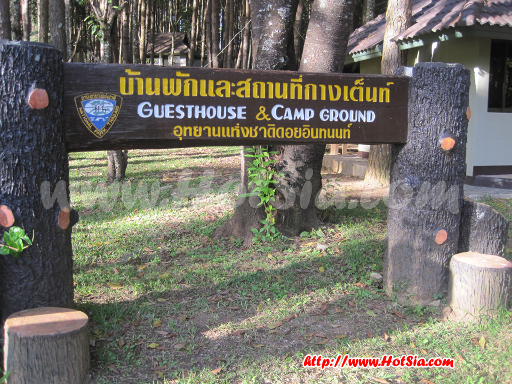 เชียงใหม่ แค้มป์ปิ้งกางเต็นท์นอนที่ดอยอินทนนท์