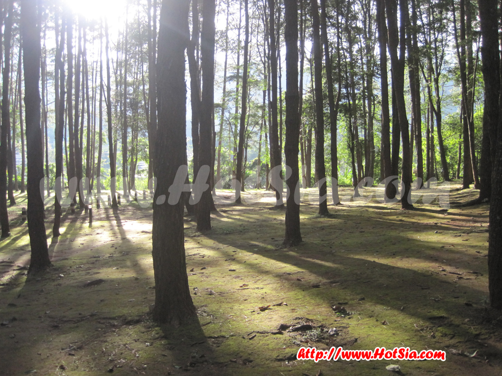 เชียงใหม่ แค้มป์ปิ้งกางเต็นท์นอนที่ดอยอินทนนท์