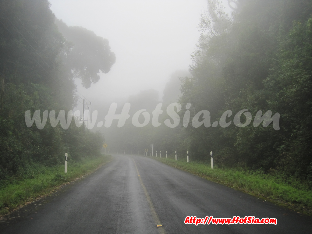 เชียงใหม่ เที่ยวดอยอินทนนท์