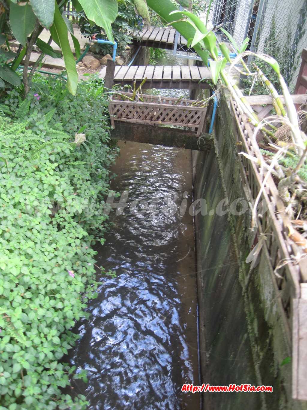 เชียงใหม่ ร้านแจ่งเมืองแม่แจ่ม