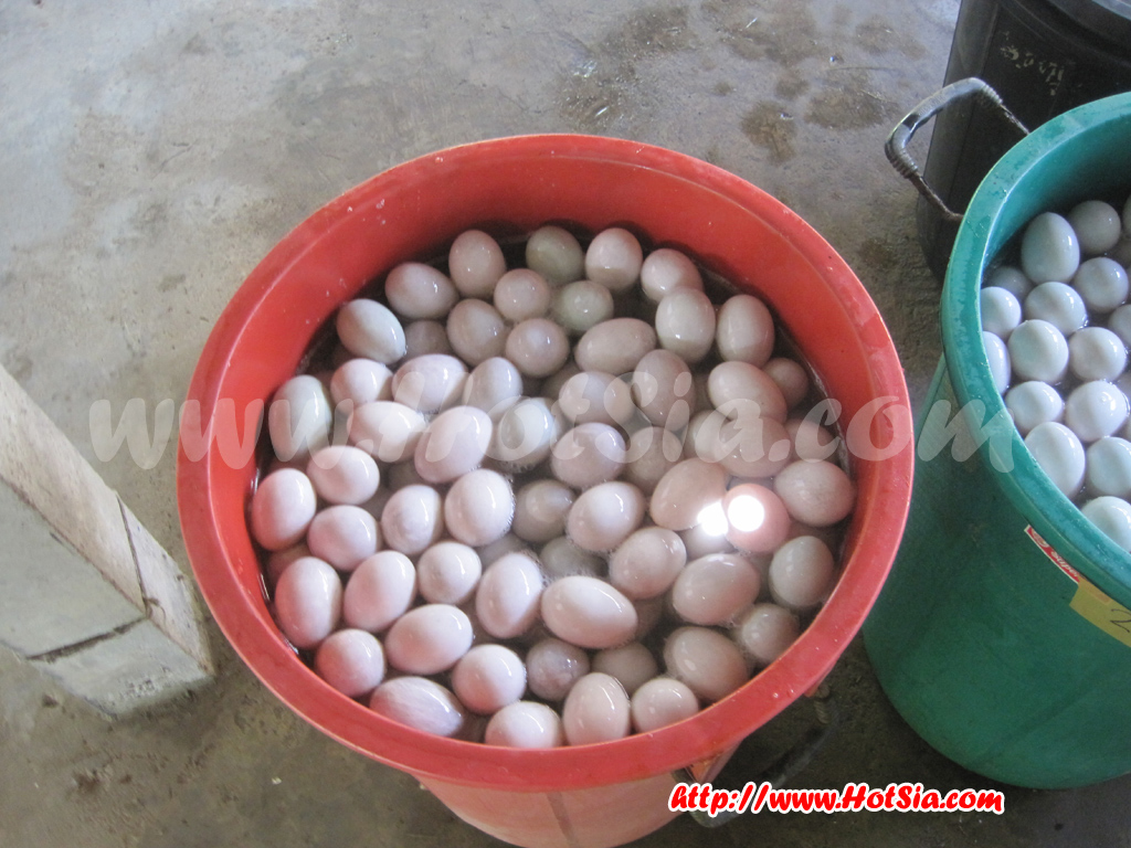 เชียงใหม่ ไข่เค็มน้ำแร่เมืองออน