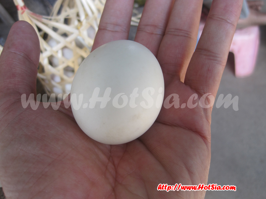 เชียงใหม่ ไข่เค็มน้ำแร่เมืองออน