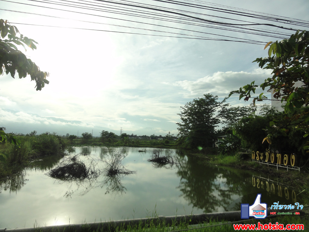 เที่ยวเชียงใหม่ ร้านอาหารกระชังทอง แม่โจ้ เชียงใหม่