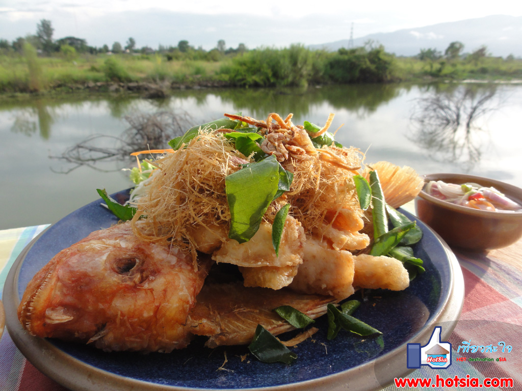เที่ยวเชียงใหม่ ร้านอาหารกระชังทอง แม่โจ้ เชียงใหม่