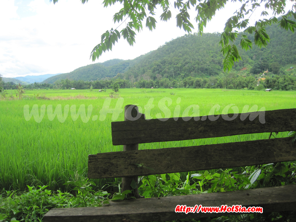 เชียงใหม่ เส้นทางท่องเที่ยวแม่ริมสะเมิง