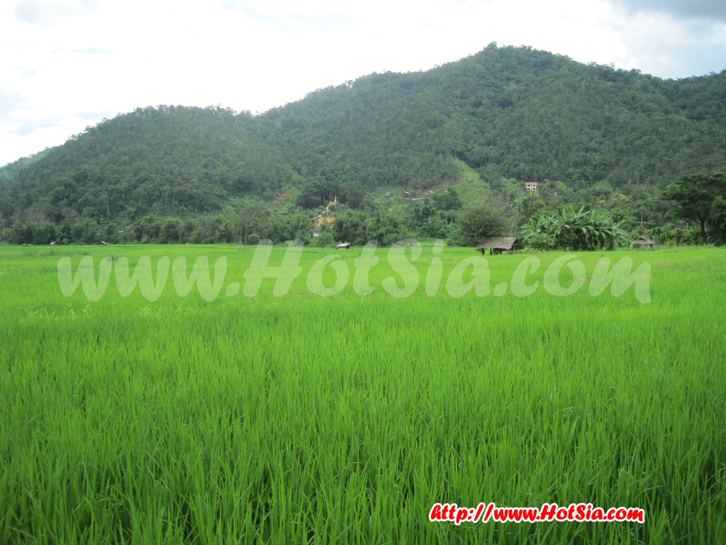 เชียงใหม่ เส้นทางท่องเที่ยวแม่ริมสะเมิง