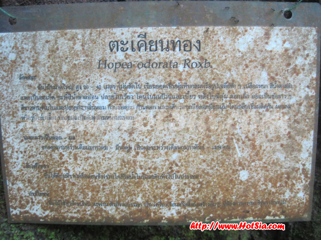 น้ำตกแม่ยะ