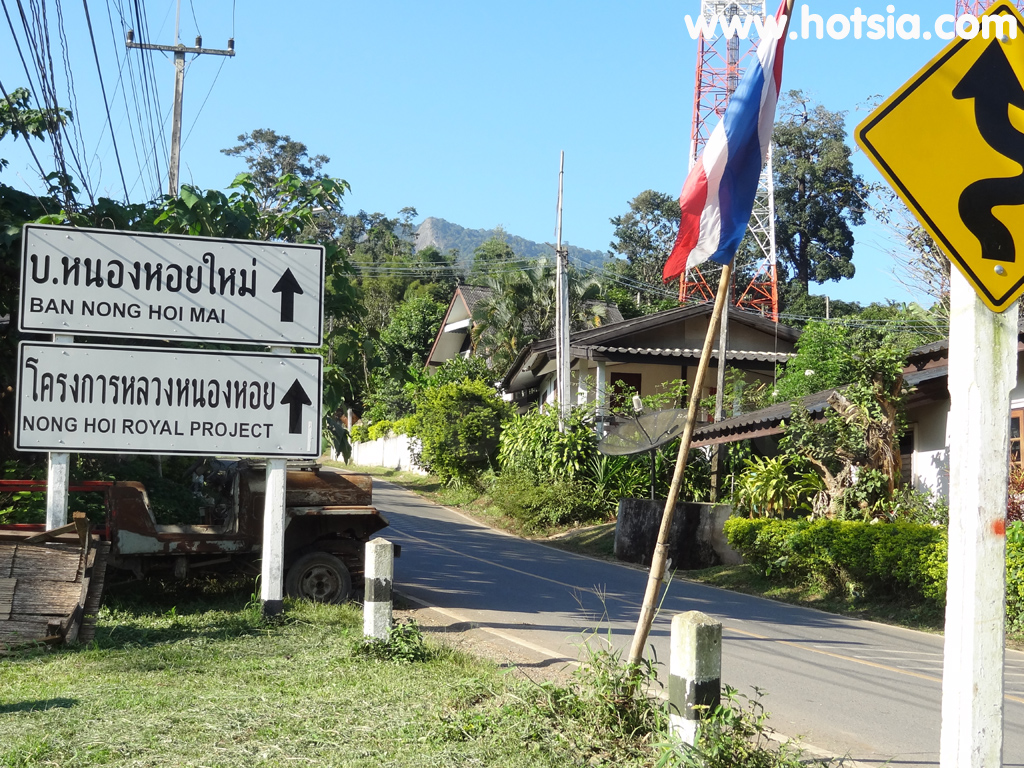 เที่ยวเชียงใหม่ ม่อนแจ่ม