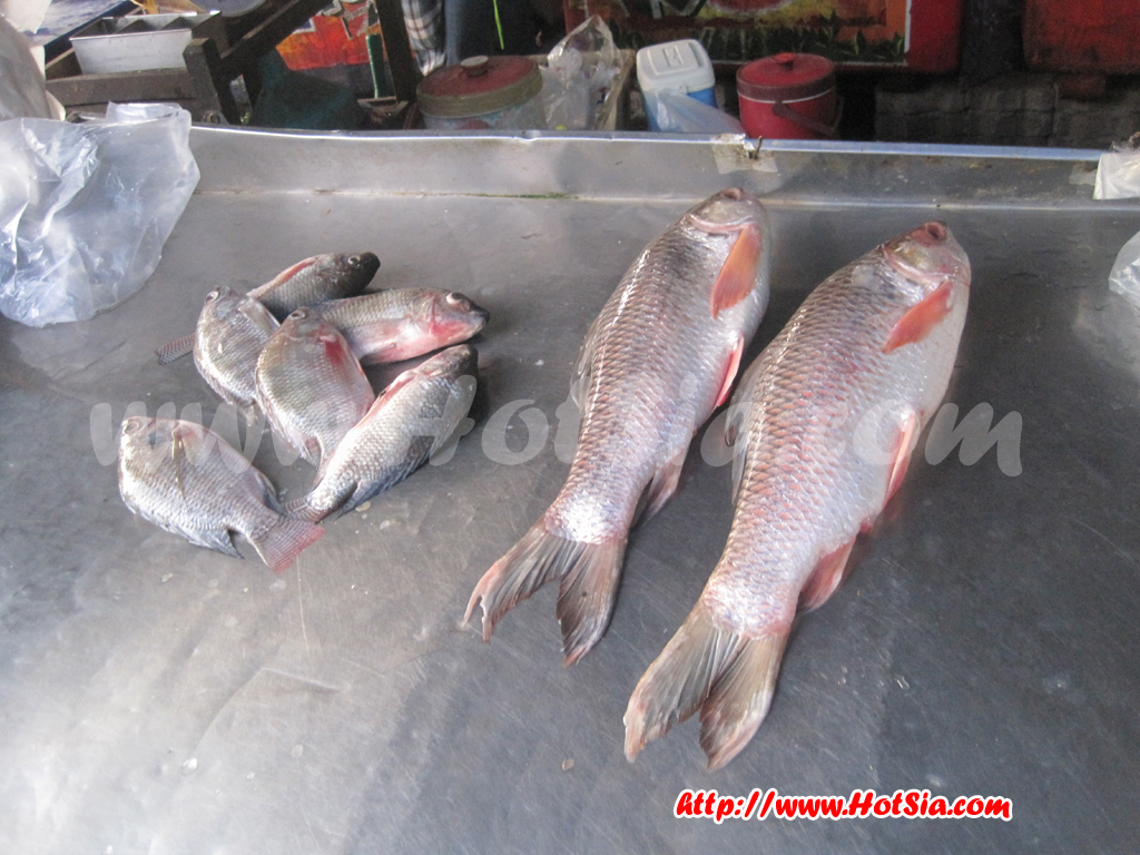 เชียงใหม่ ตลาดเช้าชาวฮอด