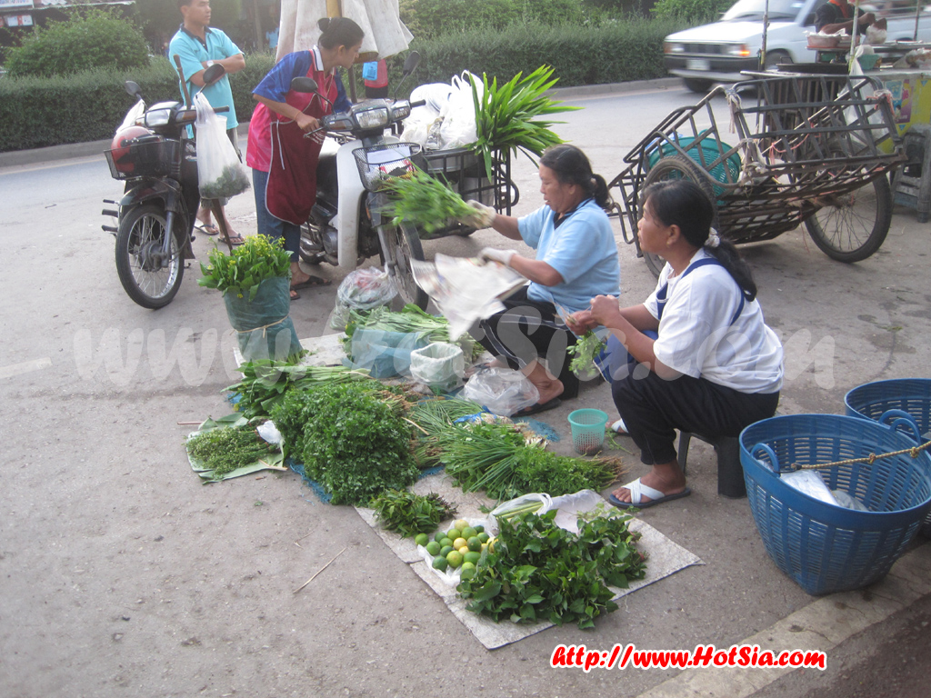 เชียงใหม่ ตลาดเช้าชาวฮอด