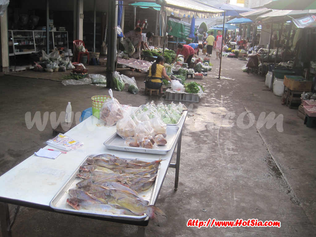 เชียงใหม่ ตลาดเช้าชาวฮอด