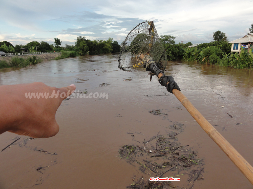 เชียงใหม่ พรานสักแห่งลุ่มน้ำปิง
