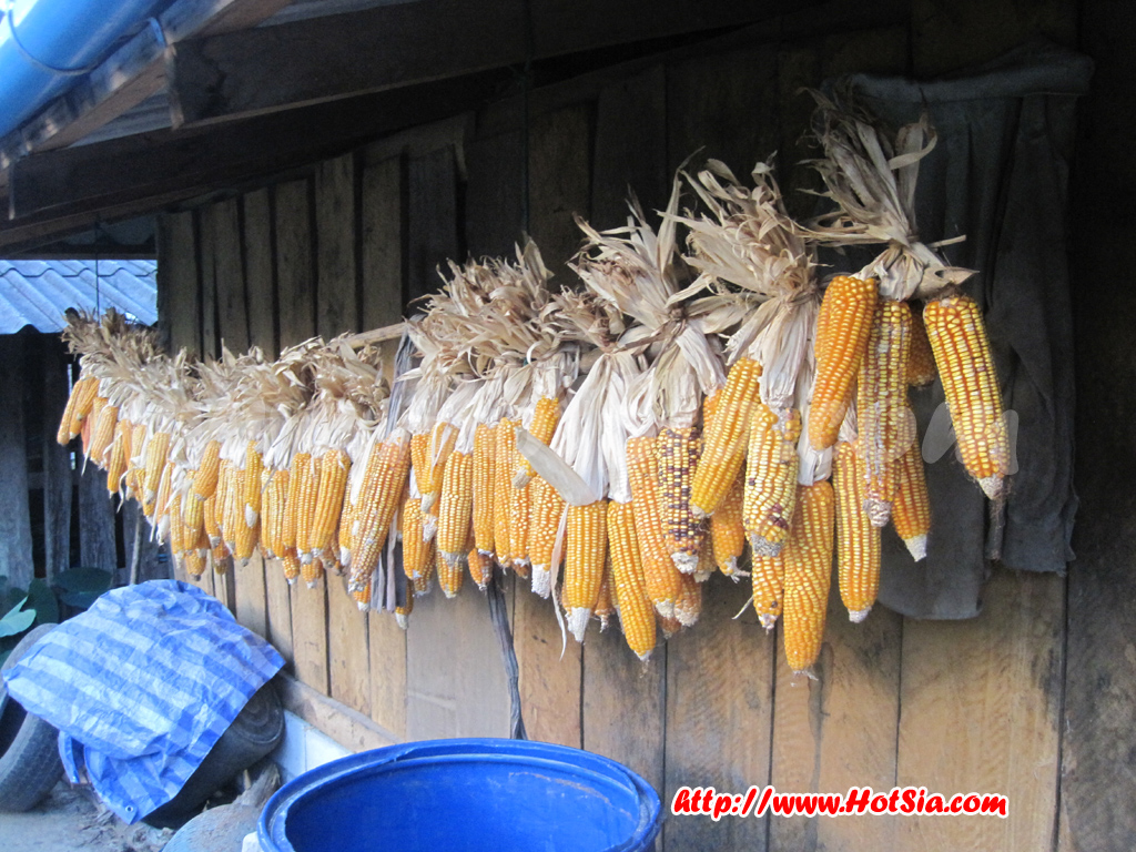 เชียงใหม่ เส้นทางจากน้ำพุร้อนสันกำแพงมาน้ำพุร้อนแจ้ซ้อน