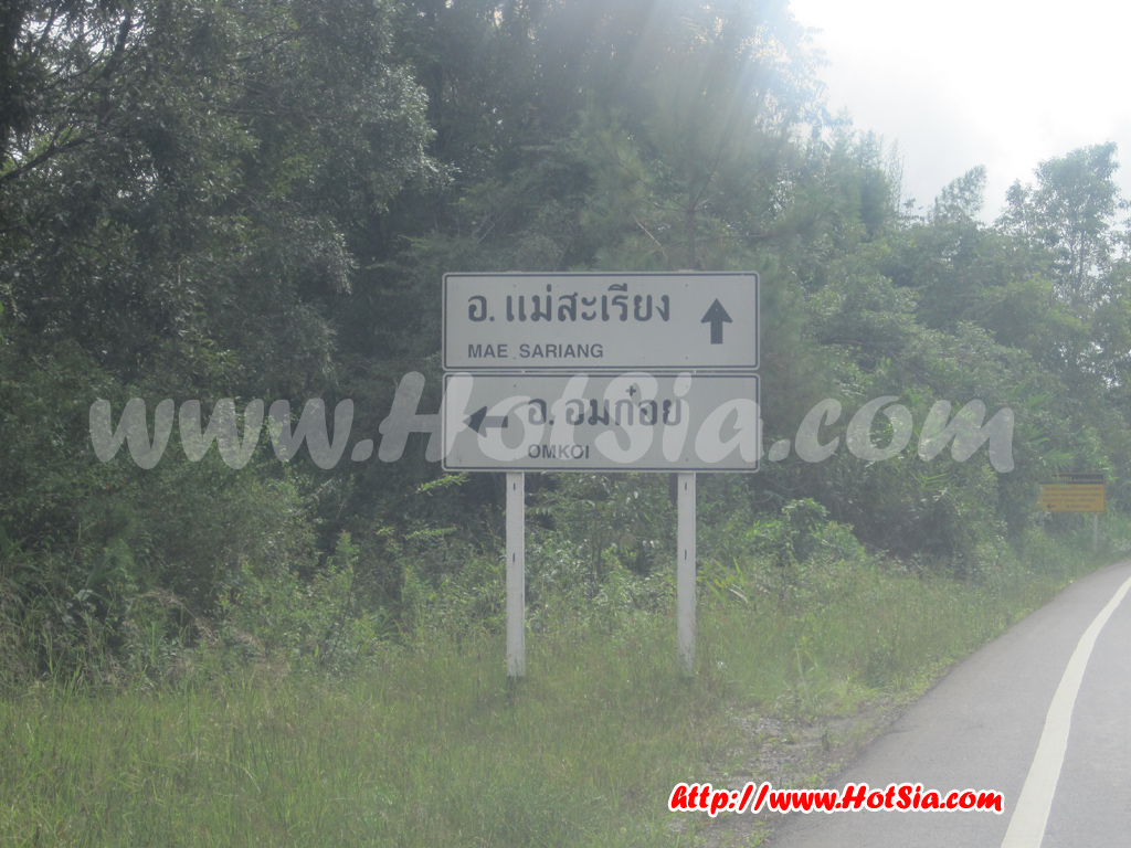 เชียงใหม่ ถนนสายต้นสน