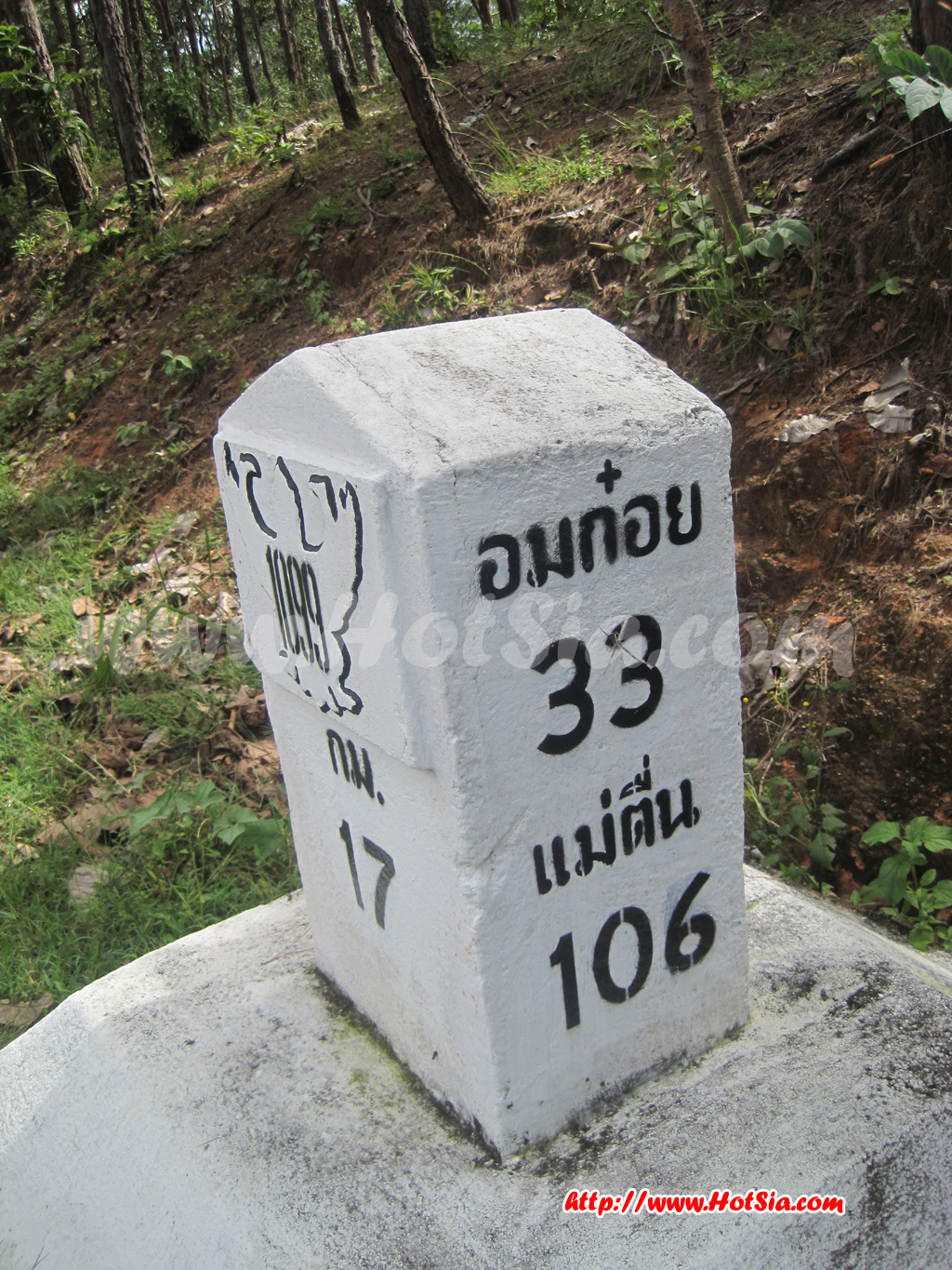เชียงใหม่ ถนนสายต้นสน