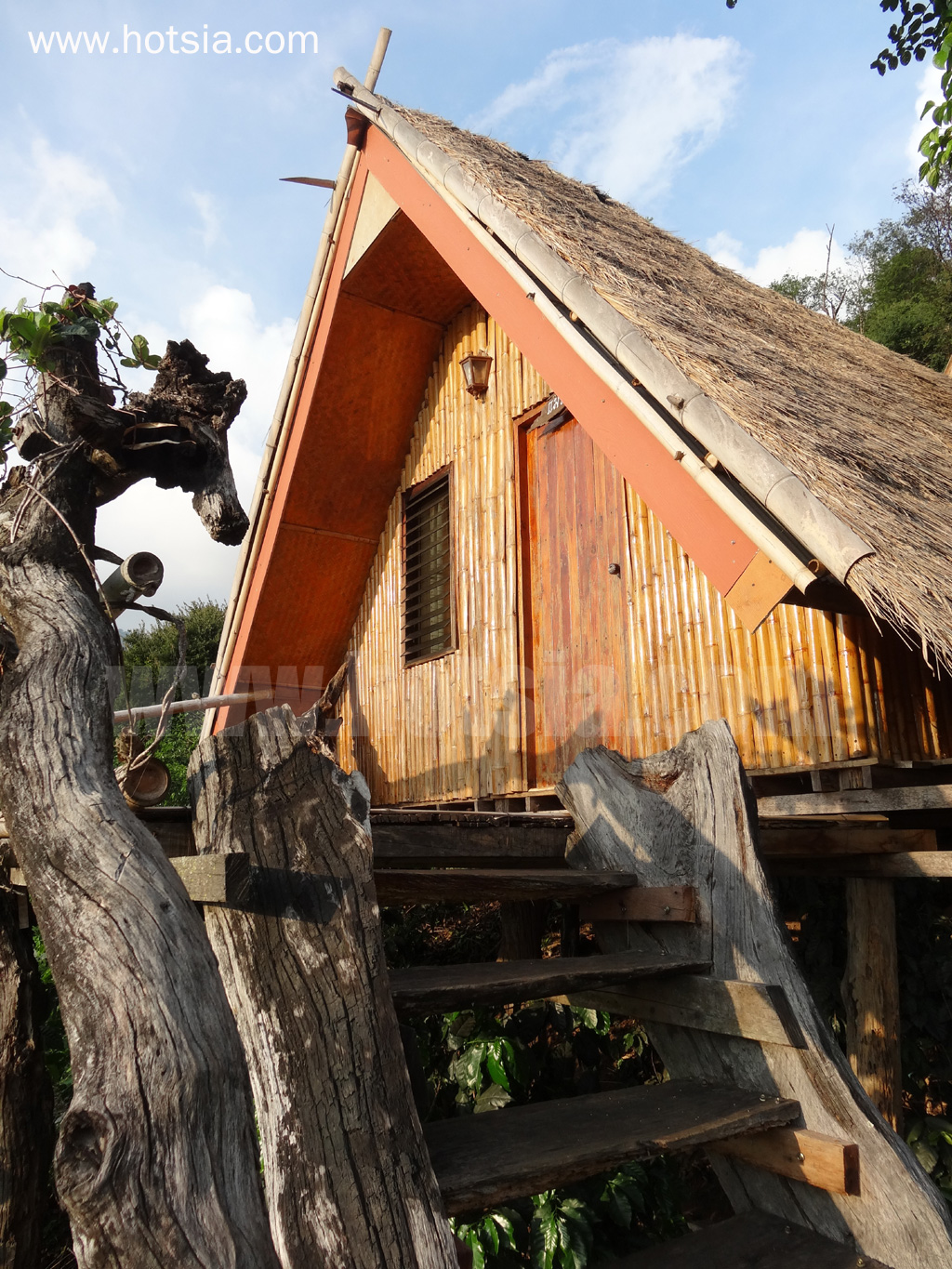เชียงราย บ้านสวนดอยช้างรีสอร์ท
