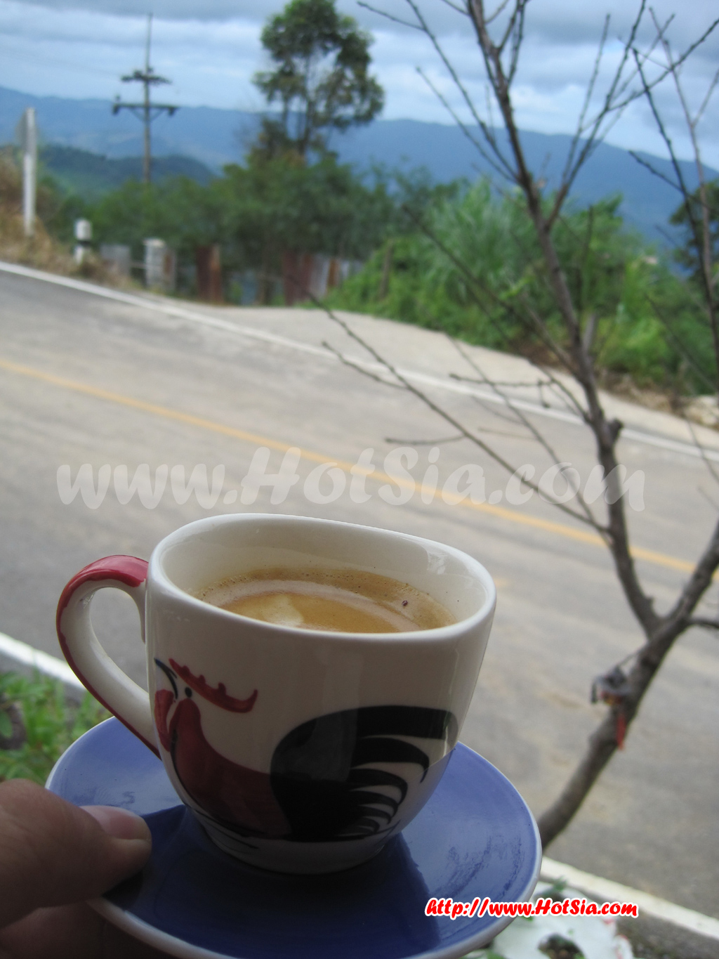 เชียงราย บ้านกาแฟดอยผาตั้ง