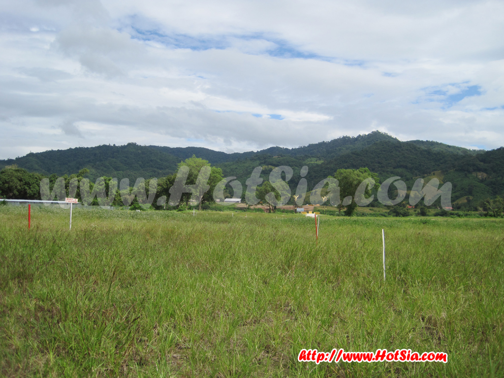 สะพานข้ามแม่น้ำโขงเชียงของ