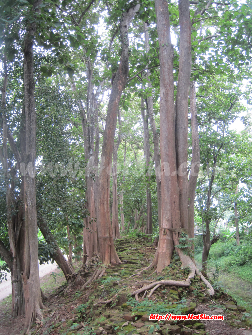 เชียงราย กำแพงเมืองกำแพงแสน