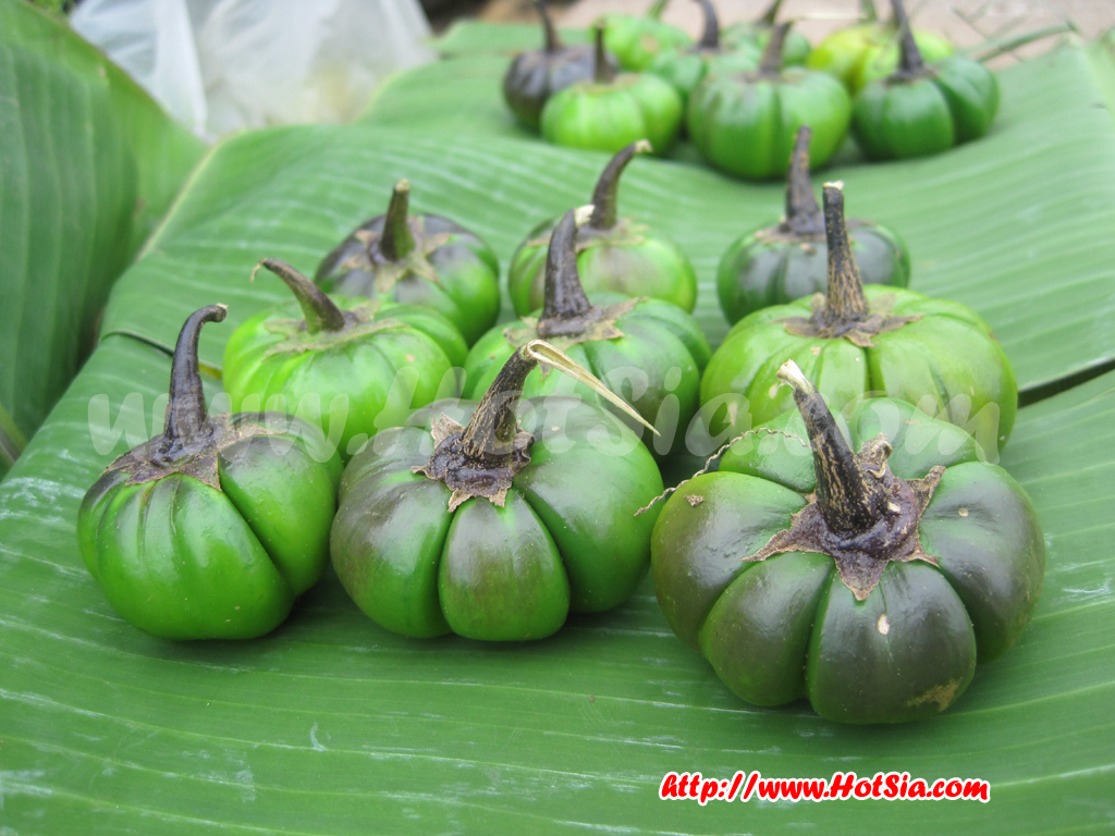 เชียงราย ดอยแม่สลอง ตลาดชุมชนดอยแม่สะลอง