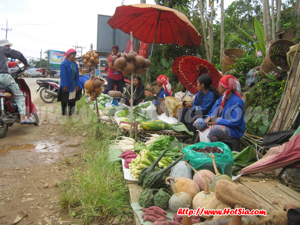 เชียงราย ดอยแม่สลอง ตลาดชุมชนดอยแม่สะลอง