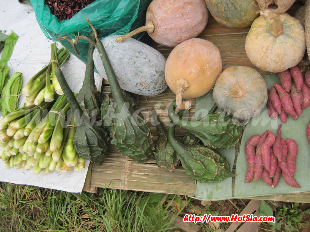 เชียงราย ดอยแม่สลอง ตลาดชุมชนดอยแม่สะลอง